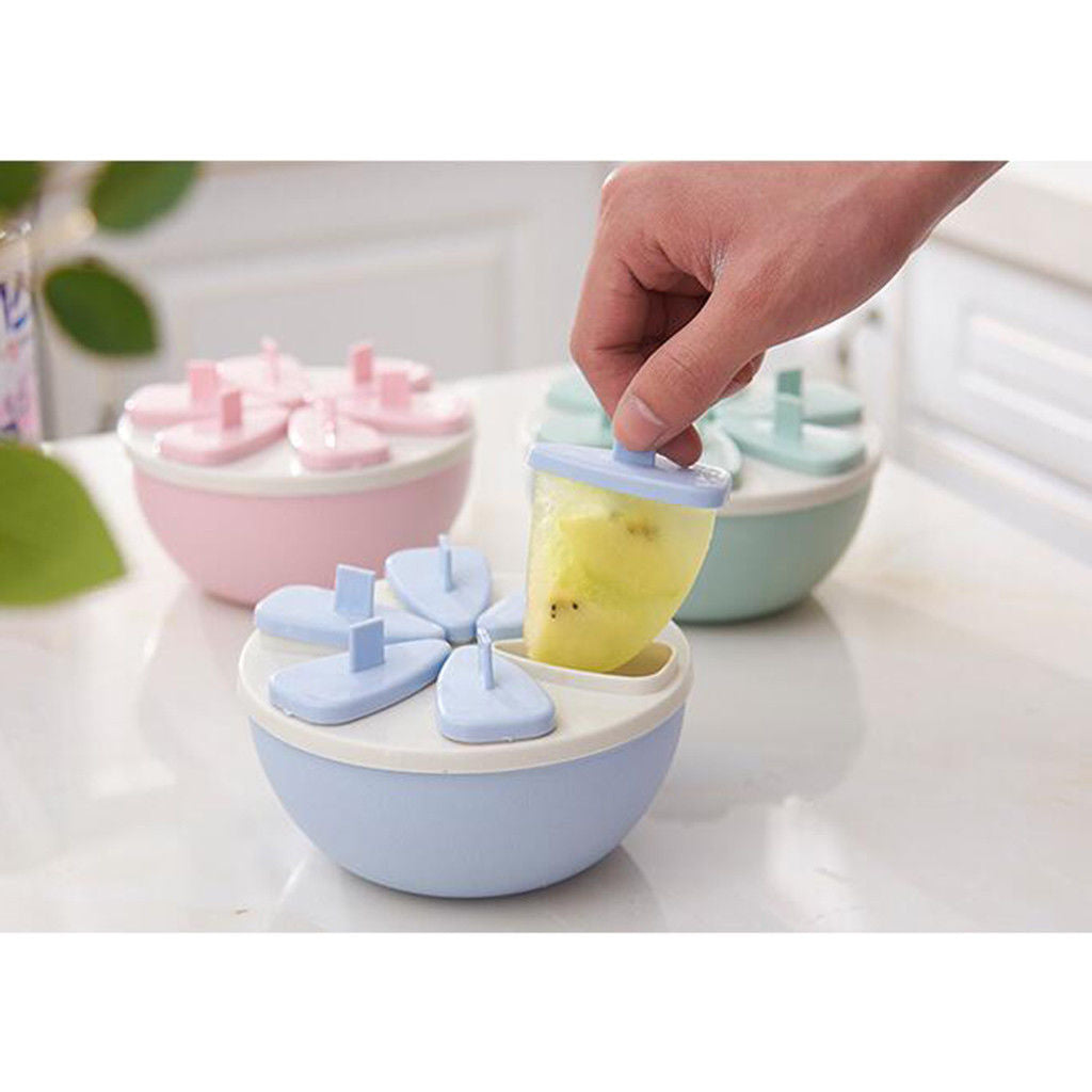 Ice Cream and Popsicle Molds - 6 & 8 Cell Containers