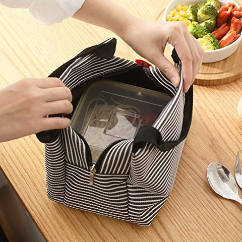 Image of Insulated Lunch Bag - Stripped Colors