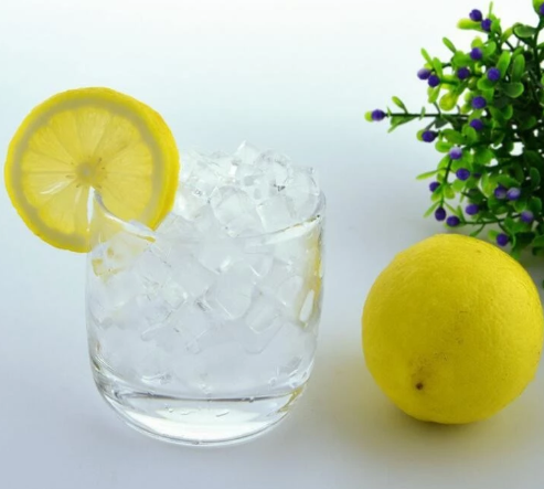 Buy Ez Life Multicolour Silicone Lemon Shaped Ice Tray Online at