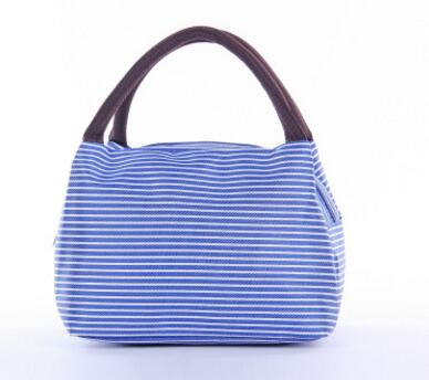 Image of Insulated Lunch Bag - Stripped Colors